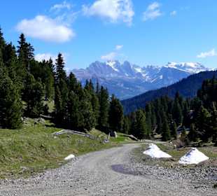 Fotomotive non stopp 