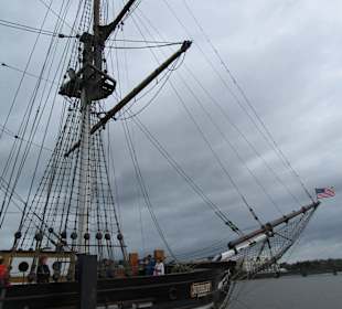  Auswandererschiff Dunbrody Famine Ship Experience