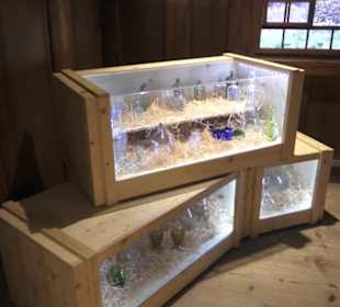 Schlössle von Effringen