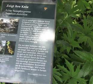 Botanischer Garten der Universität Zürich