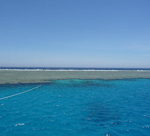 Riff vor Marsa Alam