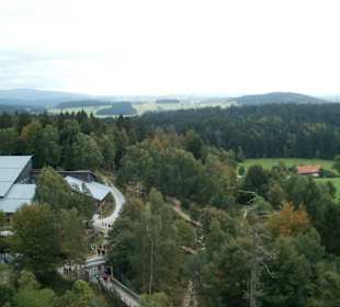 Ausblick vom Baumturm