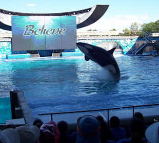 Sea World