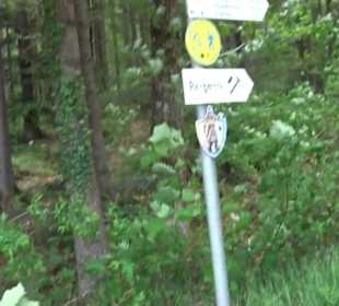 BarfussPark Hallwangen