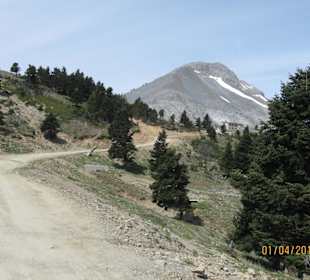 Die "Strasse" zur Hütte