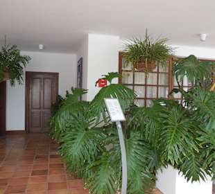 Museo Cesar Manrique