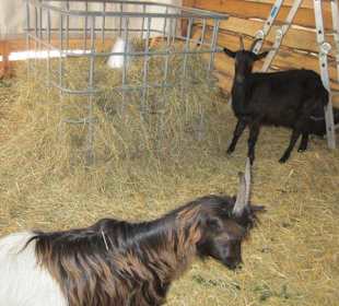 Deidesheim Weihnachtsmarkt