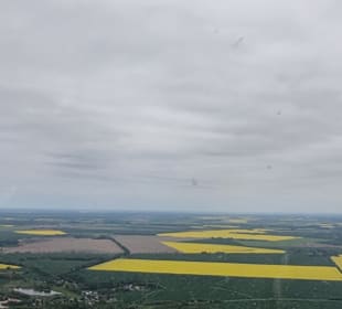 Rapsfelder aus der Luft