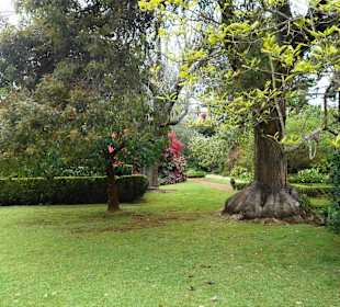 Palheiro Gardens