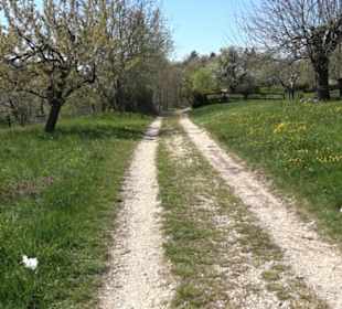Wanderung Florianrunde