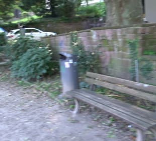 Stadtgarten Heidelberg