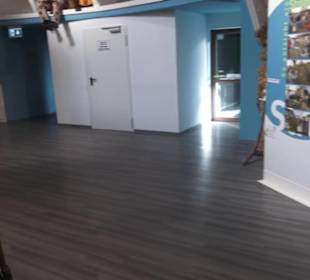 Fastnachtsmuseum Narrenschopf