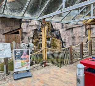 Abenteuer Dschungelland