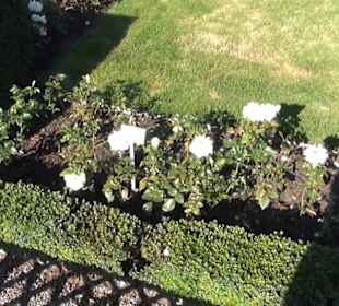 Niederländischer Rosengarten