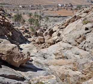 Im unteren Teil des Vega de Rio Palmas