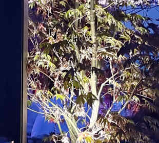 Alles unter Beleuchtung 