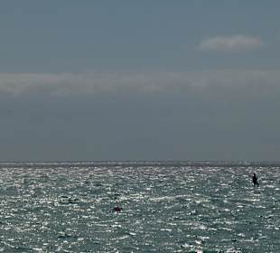 Bei Costa Calma / Windsurfing 