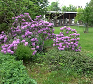 Stadtrundgang Freudenstadt