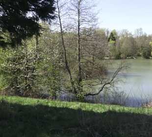 Sport- und Freizeitpark Markwasen