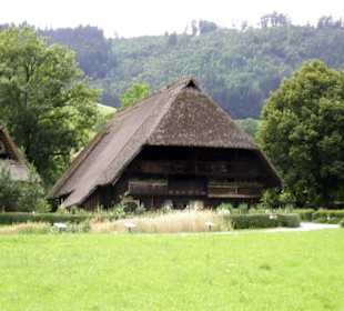 Vogtsbauernhöfe