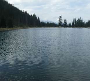 Am kleinen See bei der Nebelhorn-Station Seealpe