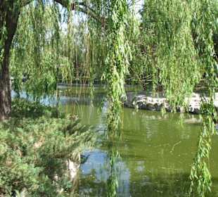 Zoopark