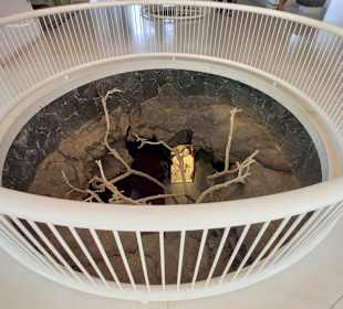 Fundacion Cesar Manrique