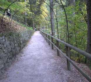 Triberger Wasserfälle