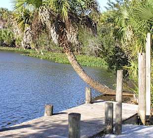 Oscar Scherer State Park