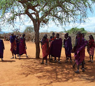Massai