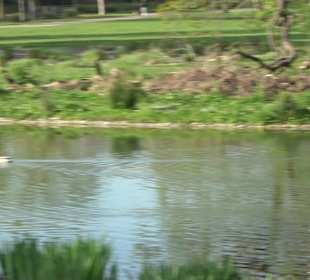 Unterer Schlossgarten Stuttgart