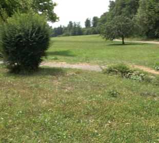 Tennisplatz Kuppingen 