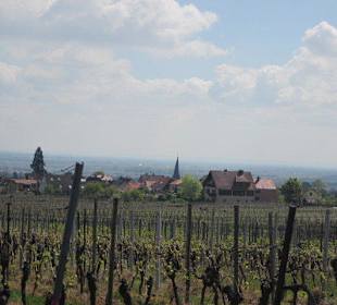 Blick vom Schloss in die Rheinebene