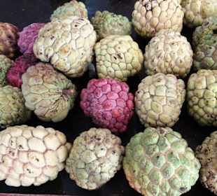 Rundgang über den Petit Marché von Saint-Denis