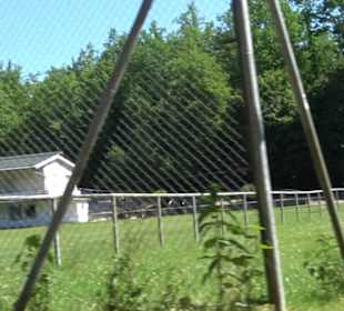Sportplatz Bisingen