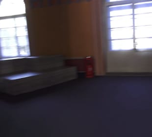Japanisches Palais