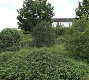 Sport- und Kulturhalle