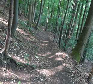 Premiumwanderweg "hochgelegen"