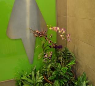 Flughafen Kuala Lumpur