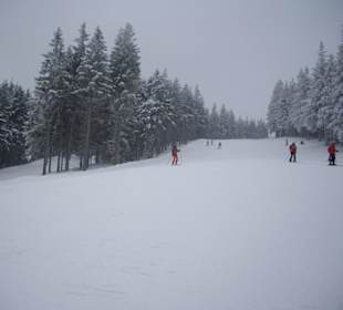 Ski-Hang Hotel Cerna Bouda