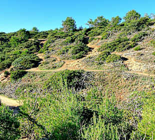 Seven Hanging Valleys Trail 