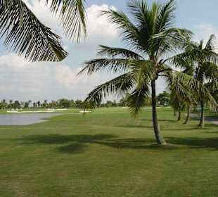 Kleinere Wasserhindernisse