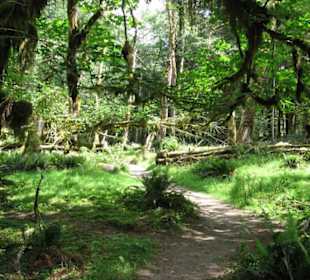 Hall of Mosses Natural Trail