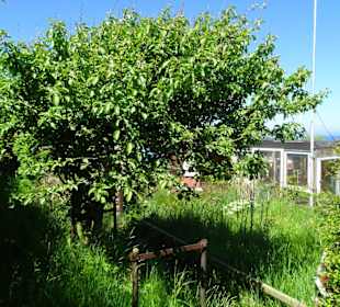 Rundgang durch die Schrebergarten-Kolonie