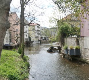 Erfurt: Interessante, empfehlenswerte Stadtführung