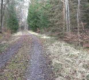 Rundwanderung durch den Rauhen Rammert Hemmendorf