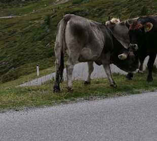 Kaunertaler Gletscherstrasse