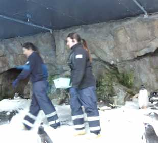 Besonders die Kinder hatten viel Spaß