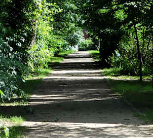 Spaziergang über den Stadtwall Wildeshausen