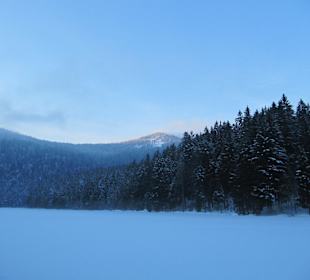 Arbersee im Winter